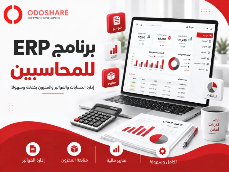برنامج erp للمحاسبين